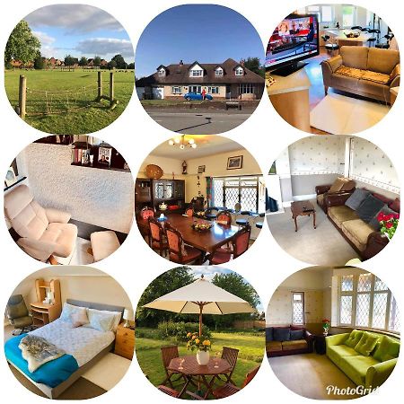 Apartmán Amazing Quiet Garden House Near London Luton Airport Exteriér fotografie